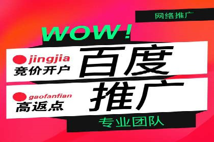 成功案例：一家初创企业如何通过百度关键词推广快速崛起